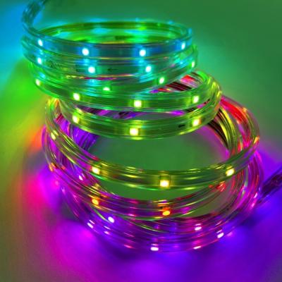 China LANDSCAPE 120V RGBIC Waterproof Dreamcolor Accessible Chasing Music Sync Rainbow SMD5050 LED Strip Lights with Remote Controller for sale