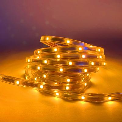 China LANDSCAPE 120V Full Set Pixel Digital RGBIC Dream Color Chasing Effect Bluetooth LED Light Strip 50FT 5050 RGB for sale