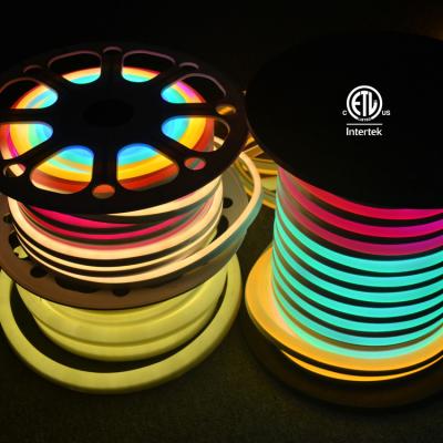 China Mini Bistro Lights String Lights Waterproof Led String Neon Light Beautiful Decorative Neon Light 120V 50FT for sale