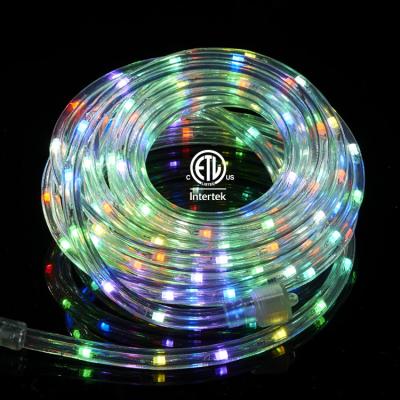 China Clear Mini Patio Lights Decorative Garden Decoration Outjacket Equipment String Lights 24FT Led Rope Light 12.48W for sale