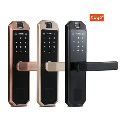 China Wholesale Modern Apartment Indoor Wooden Door Office Fingerprint Smart Lock Coated Password Electronic Door Lock for sale