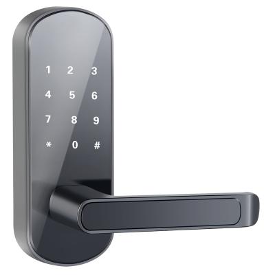 China Modern Apartment Home Office Hotel TTlock Password Fingerprint Card FRID Electronic Door Lock for sale