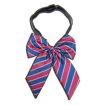 China Latest Design Global Hot Selling Unique Quick Adjustable Tie For Women DSC_1325 for sale