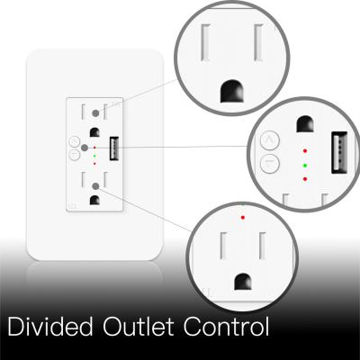 China Tuya Smart Life Residential / Multi-Purpose Smart Power WiFi Wall Outlet With Dual USB Outlet Iot Smart Home Automation for sale