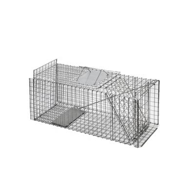 China One-Door Folding Folding Live Animal Cage Trap Folding Trap for Groundhog Opossum Armadillos for sale