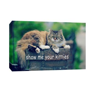 China Original Waterproof+ECO-Friendly Wall The Other Cat Yoga Motivational Animal Painting Poster Motivation Canvas for sale