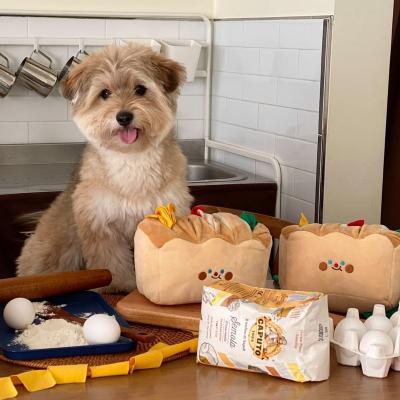 China Sustainable Cute Plush Squeaky Durable Dog Toys Pet Cleaning Teeth Aggressive Chewer Toys for sale