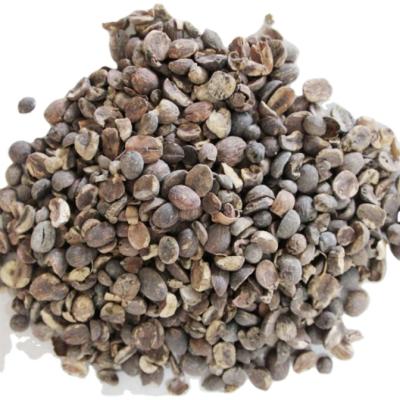 China Nuts& china kernels meal acorn fodder acorn for japanese black pigs for sale