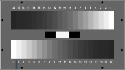 China OECF / NOISE Digital Image Resolution Chart YE0259 20 Gray Patches Chart Transparent for sale