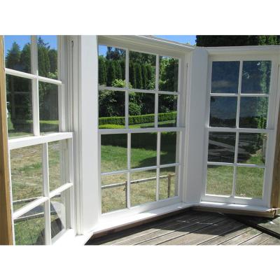 China Magnetic Screen Single Hung Double Hung Windows And Doors upvc Windows high quality can be customized for sale