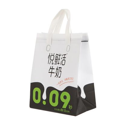 China Wholesale Portable Printed Laminated Custom Non Woven Sack Shopping PP Cooler Non Woven Bag for sale