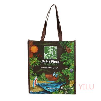 China 2023 Custom Logo Printable Pattern Non Woven Aluminum Foil Bag Non Woven Bag for sale