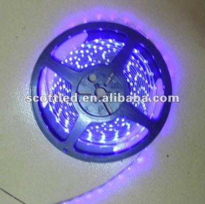 China 5050 60led/m 375-380nm LED UV flexible strip dc12v SC-5050-60 for sale