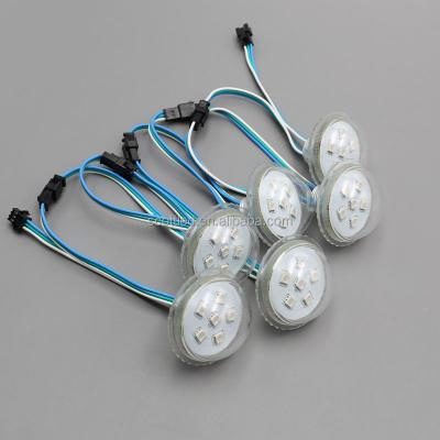 China Theme Park Decoration DC12V 45MM UCS1903 IC Digital Color LED Dot Changing High Quality Lights for sale