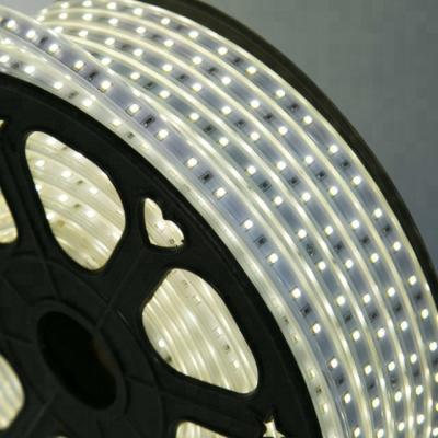 China Decorative Lighting 2 Years Warranty 2835 220V/110V 120leds/m White Waterproof Led Strips for sale