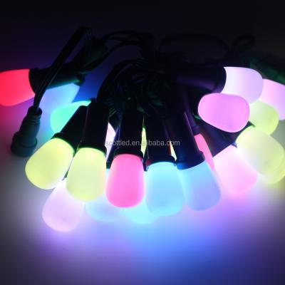 China Small LED Papaya Light Led Christmas Tree Lights Kit 25LEDs SC-WS2811-G27 for sale