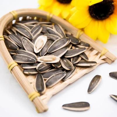 China Inner Mongolia Ton Price Market Price Sunflower Dry Seed 363 for sale