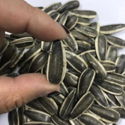 China Chinese dry roasted sunflower seeds for sale for sale