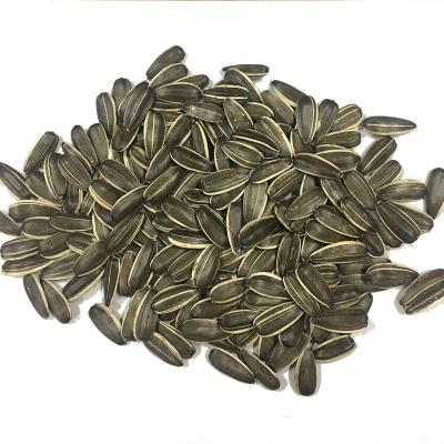 China Wholesale Bulk High Quality Long Sunflower Seeds Dry Size 363 Non GMO Sunflower Seeds for sale