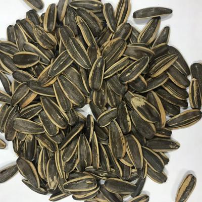 China Normal Looking For Partner Of Chinese Sunflower Seeds for sale