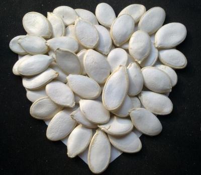 China Parrot Family Dried Pumpkin Sunflower Seeds Cheap Price High Quality Pumpkin Seeds for sale