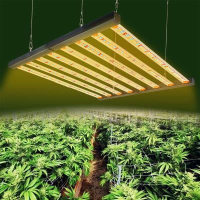 China FLOWER Longgood grow light Samsung lm301b led grow light 650W led grow light bar 650W for garden grow tent for sale