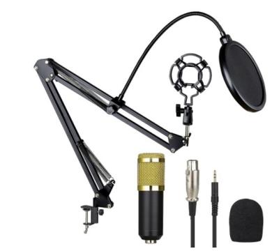 China USB Microphone Manufacturers Spot Live Recording BM800 Microphone Set Condenser Microphone for sale