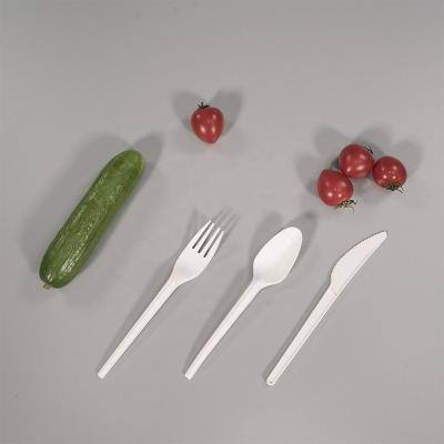 China Biodegradable Reusable Disposable Cutlery Logo Eco Friendly Customized Set for sale