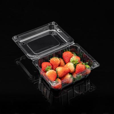 China Disposable Clear Clamshell Blister Packaging Food Container Square Shaped Plastic Box With Lid for sale