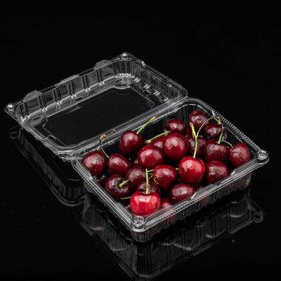 China Clamshell Disposable Plastic Fruit Container PET Blister Take Out Food Packaging Box for sale