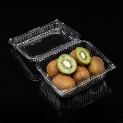 China Good Quality Disposable PET Blister Food Clear Plastic Fruit Box With Lid for sale