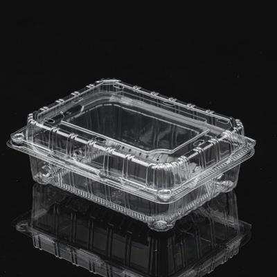 China Disposable Clear Plastic Blister Clamshell Fruit Vegetable Container Packaging Box for sale