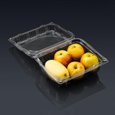 China Disposable Plastic PET Rectangle Food Grade Fruit Blister Packaging Clear Boxes With Lid for sale