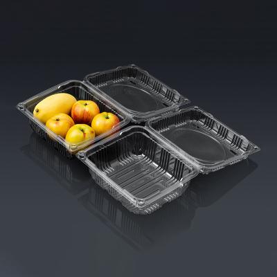 China Wholesale Disposable Plastic Packaging Blister Box Compartment Clamshell Clear Food Container for sale