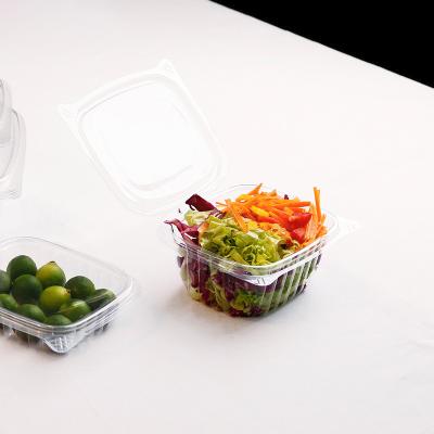 China High Quality Eco-friendly Durable Plastic Salad Vegetable Container PET Fruit Clear Supply Box for sale