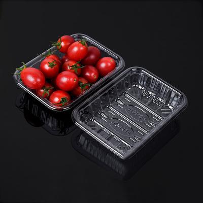 China Disposable Custom Catering Plastic Food Container Disposable Plastic Tray For Fruit for sale