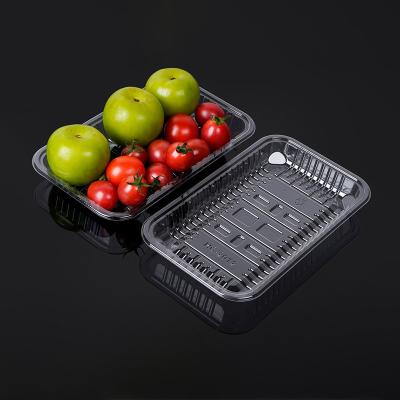 China Plastic Disposable Food Storage Container Disposable Clear Blister Packaging Tray For Fruit for sale