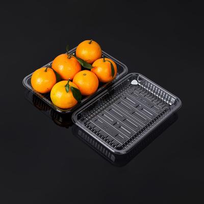 China Food Grade Plastic PP Disposable PET Packaging Fruit Vegetable Meat Food Packaging Tray With Lid for sale