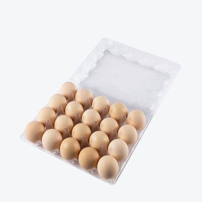 China Custom 20 Holes Eco-Friendly Blister Clear Plastic Egg Packaging Transparent Egg Tray for sale