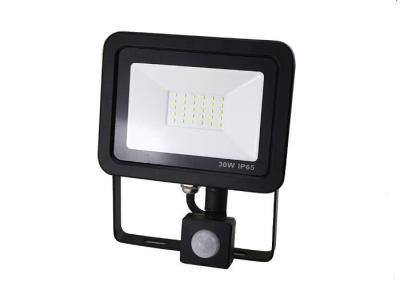 China Super Bright Stadium Waterproof LED Flood Lights 30 W 6500K 0.9PFC for sale