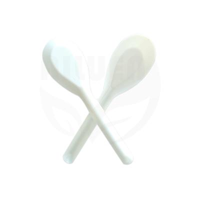 China Eco-Friendly Homes Compostable 100% Biodegradable Plastic Spoon Take Out Spoon With High Quality for sale