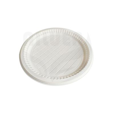 China CLASSIC Compostable Plastic Plates 100% Compostable Biodegradable Takeout Food For Fast Food for sale