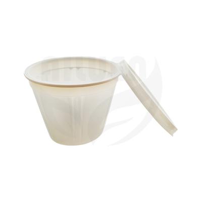 China Disposable portable take out bowl 100% 800ml biodegradable/compostable plastic bowl with cover for sale