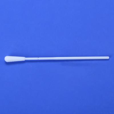 China Sterile pp new product specimen collection swab medical diagnostic disposable oral sampling swab for sale