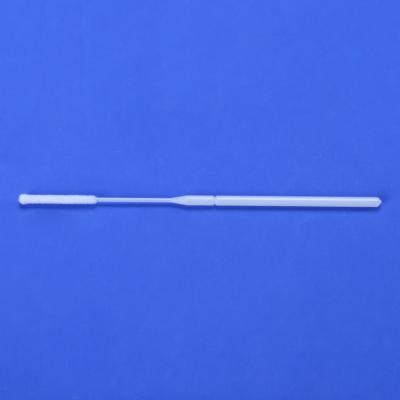 China 100% Nylon Assembled Swab Test Swab For Nasal With Disposable Sterile Package for sale