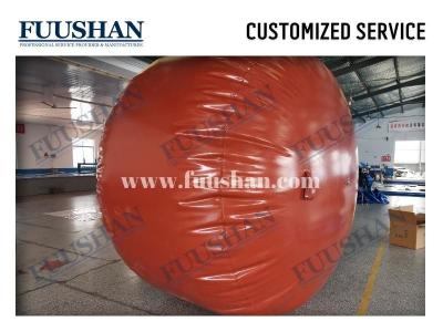 China Chinese Home Biogas Plant Biogas Production Biogas Storage Tank Bag for sale