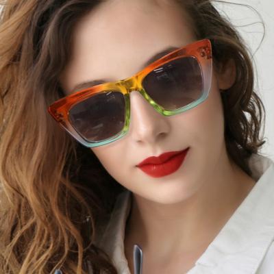 China Fashion Manbao Square Cat Eye Sunglasses For Women Fashion for sale