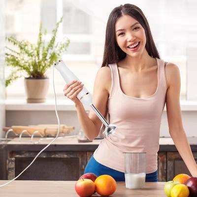 China Multifunctional Home Manual Variable Speed ​​800W Electric Stick Hand Food Filling High End Blender for Kitchen for sale