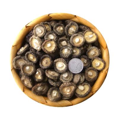 China Best-selling high quality dried shiitake mushroom special for soup mini dried shiitake mushroom for sale