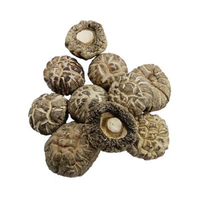 China Wholesale Dried Shiitake Mushroom Flower Shiitake Mushroom High Quality Organic Dried Whole Mushroom (4-5cm) for sale